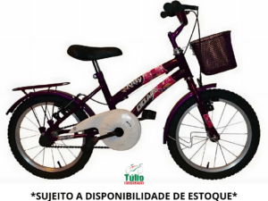 Bicicleta Aro 16 Samy Acessórios aço