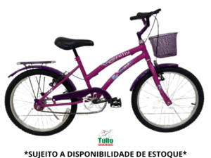 Bicicleta Aro 20 Feminina Acessórios