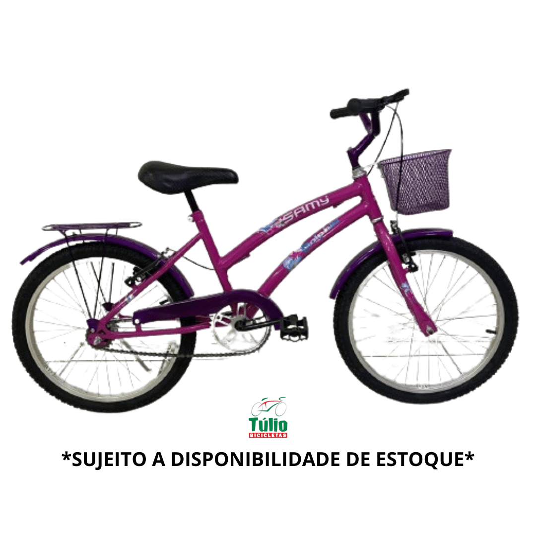 Bicicleta Aro 20 Feminina Acessórios