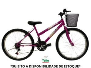 Bicicleta Aro 24 Feminina 18 Marchas
