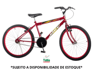 Bicicleta Aro 24 Masculina Simples