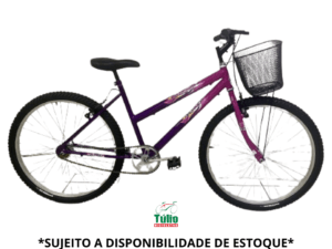 Bicicleta Aro 24 Feminina Simples