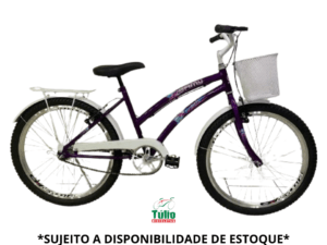 Bicicleta Aro 24 Samy Acessórios aço