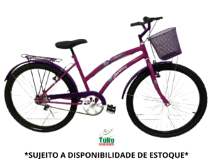 Bicicleta Aro 26 Samy Acessórios aço