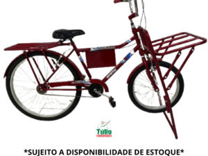 Bicicleta Aro 26 Cargueira