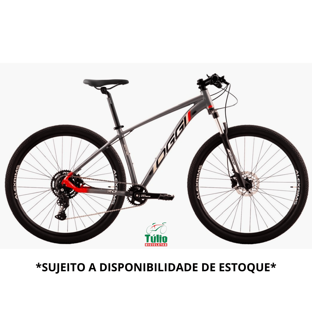 Bicicleta Aro 29 Big Wheel 7.0 9 marchas - OGGI
