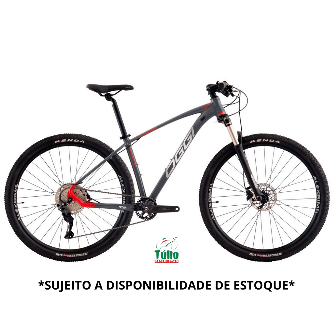 Bicicleta Aro 29 Big Wheel 7.2 12 marchas - OGGI