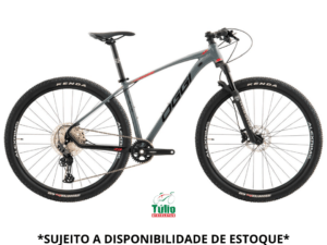 Bicicleta Aro 29 Big  Wheel 7.3 12 marchas - OGGI