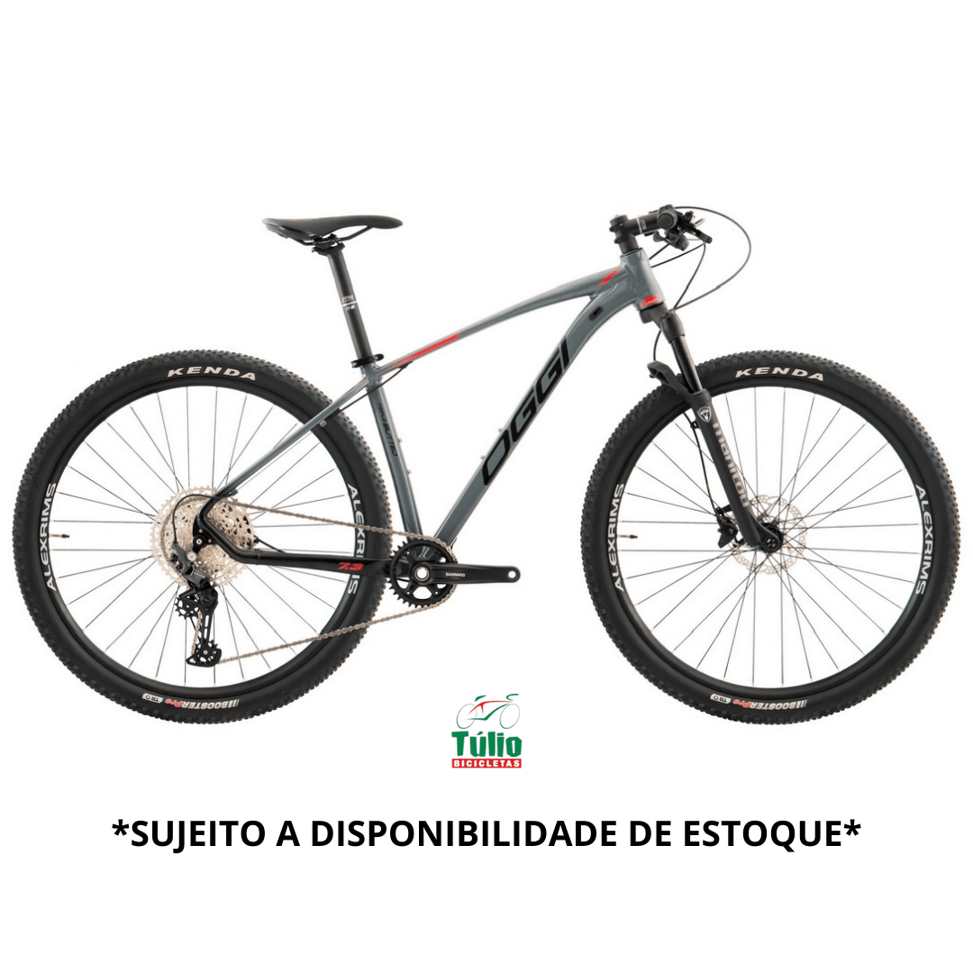 Bicicleta Aro 29 Big Wheel 7.3 12 marchas - OGGI