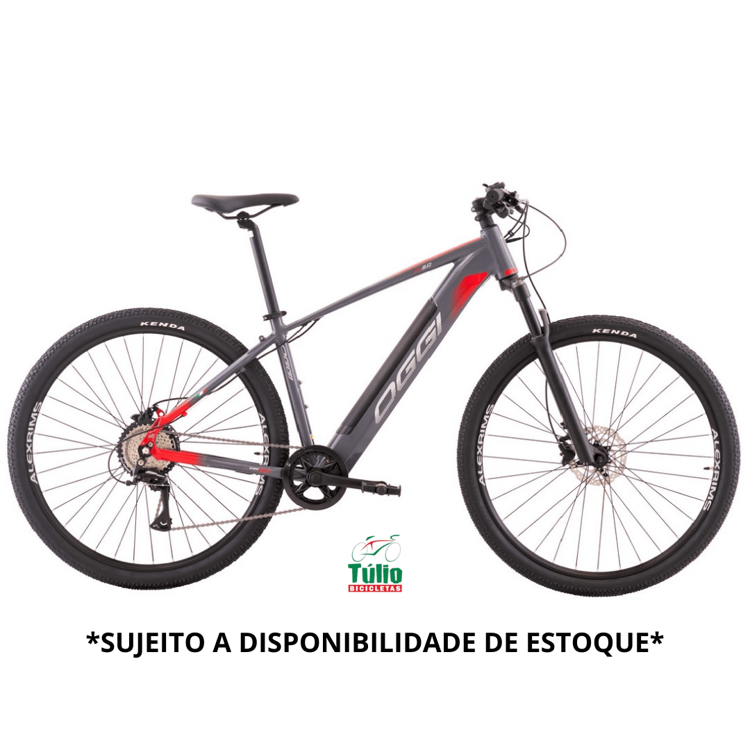 Bicicleta Aro 29 E-Bike Big Wheel 8.0 2024 16 marchas - OGGI