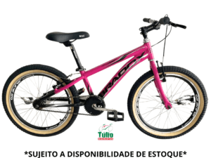 Bicicleta Aro 20 Bradox Aluminio Freio V-Break